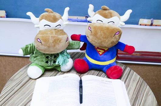 1536804249977797.jpg 503.jpg