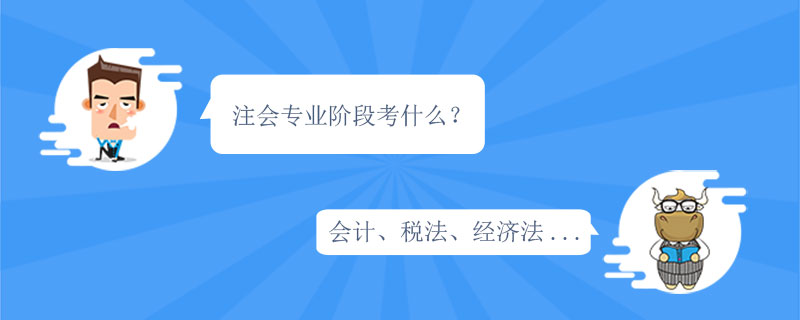 注会专业阶段考什么