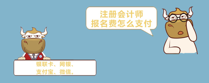 注册会计师报名费怎么支付.jpg