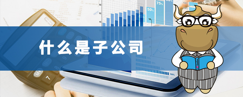 什么是子公司.jpg