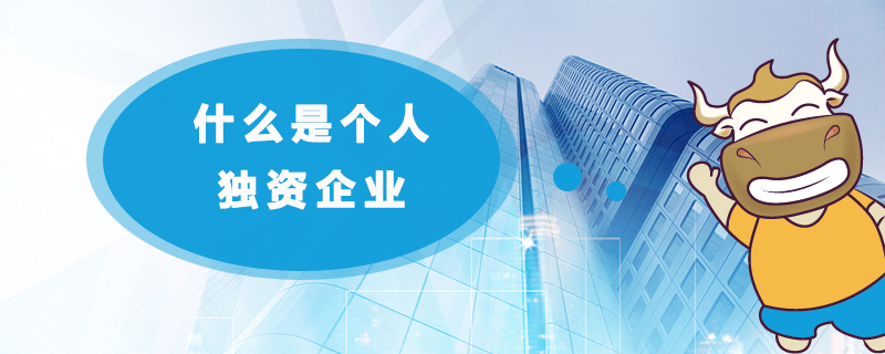 什么是个人独资企业.jpg