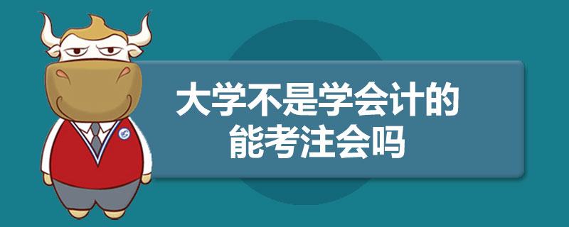 大學不是學會計的能考注會嗎