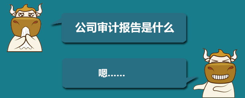 公司审计报告是什么&nbsp;.jpg