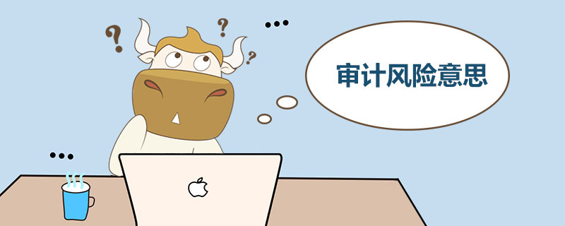 审计风险是什么意思.jpg