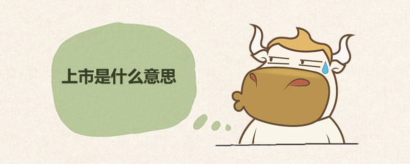 上市是什么意思.jpg