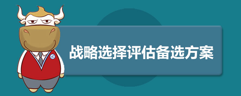 1540290181440667.jpg 战略选择评估备选方案是什么.jpg