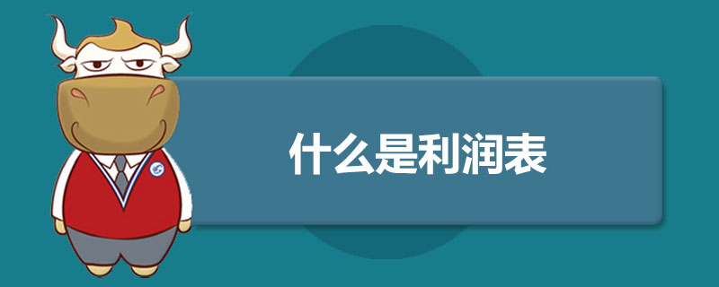 什么是利润表.jpg