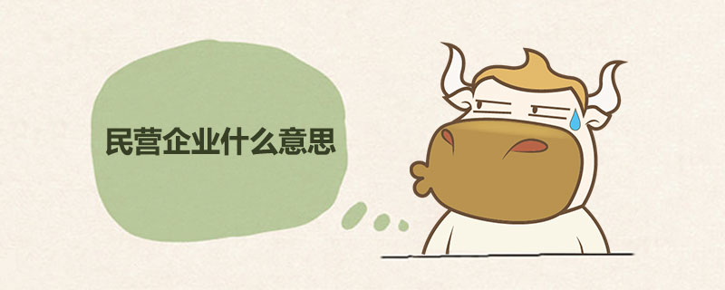 民营企业是什么意思.jpg