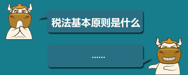 税法基本原则是什么.jpg