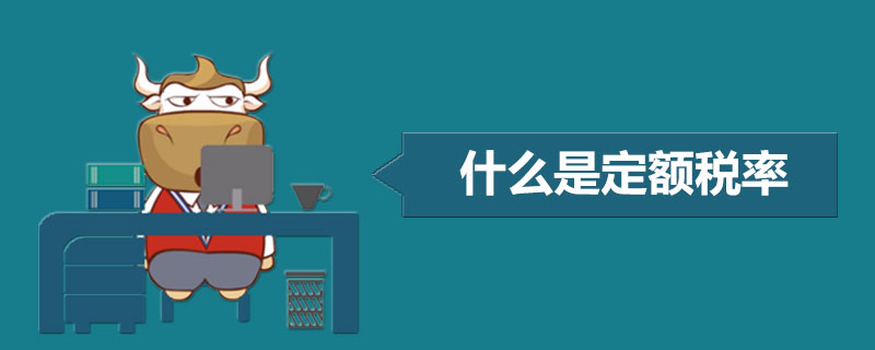 什么是定额税率.jpg