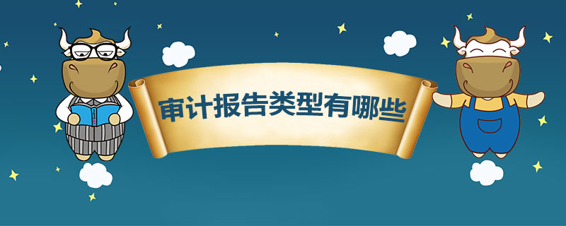 审计报告类型有哪些.jpg