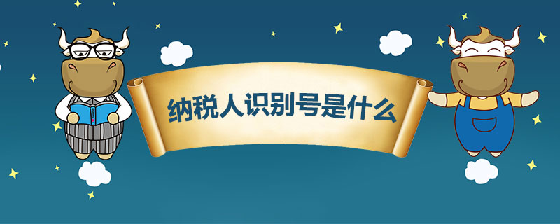 纳税人识别号是什么.jpg