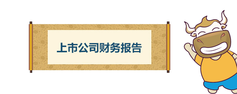 上市公司财务报告.jpg