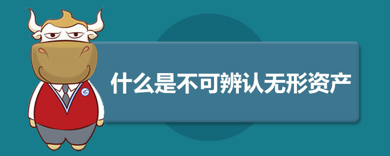 什么是不可辨认无形资产.jpg
