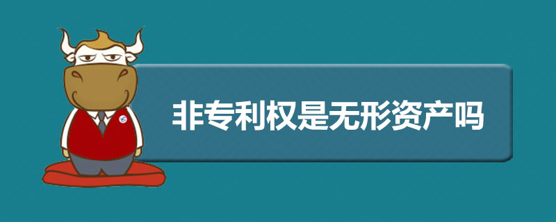 非专利权是无形资产吗.jpg