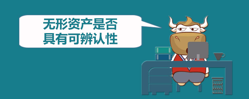无形资产是否具有可辨认性.jpg