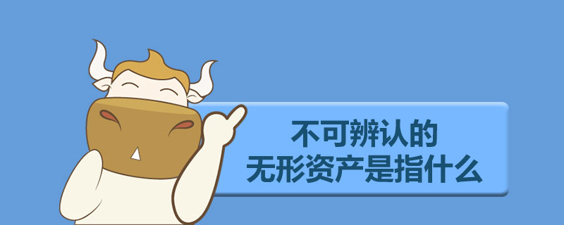 不可辨认的无形资产是指什么.jpg