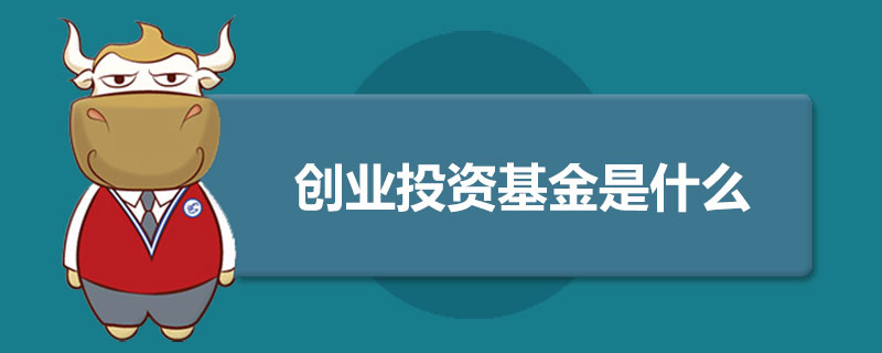 创业投资基金是什么.jpg