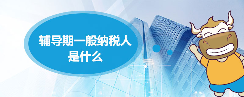 辅导期一般纳税人是什么.jpg