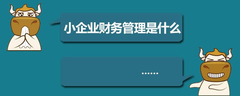 小企业财务管理是什么.jpg