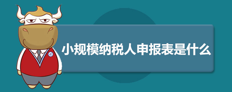 小规模纳税人申报表是什么.jpg