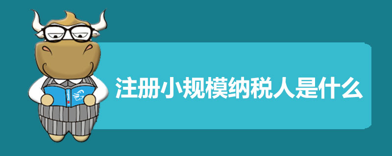 注册小规模纳税人是什么.jpg