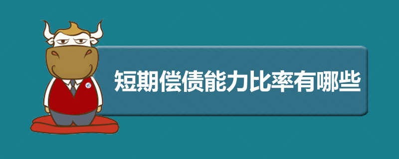 短期償債能力比率有哪些.jpg