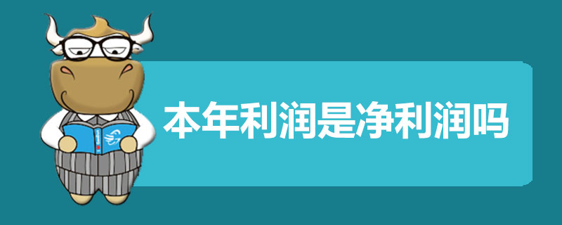 本年利润是净利润吗.jpg