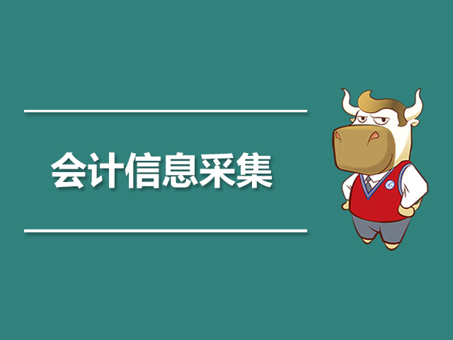 会计信息采集.jpg