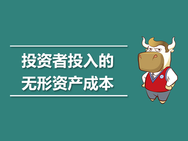 投资者投入的无形资产成本.jpg
