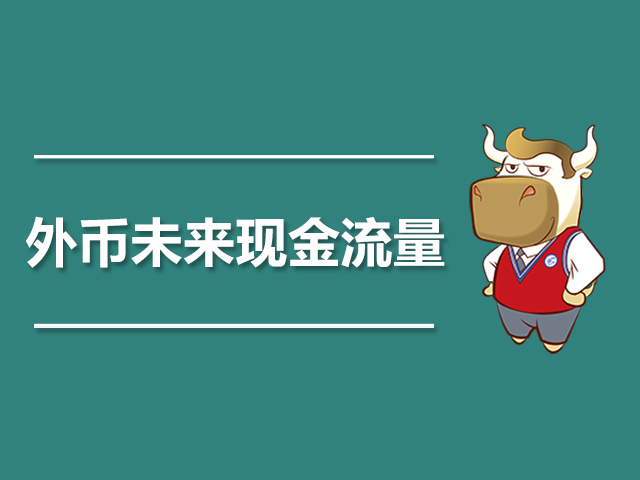 外币未来现金流量.jpg