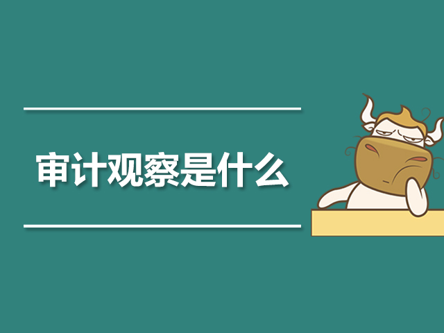 审计观察是什么.jpg