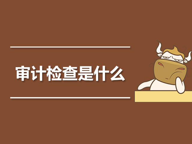 审计检查是什么.jpg