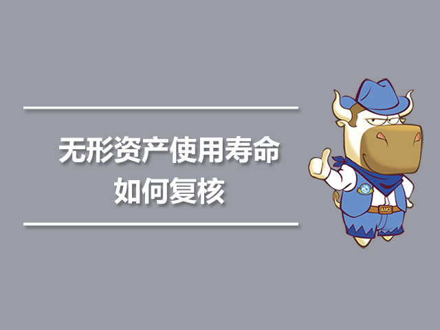 无形资产使用寿命如何复核.jpg