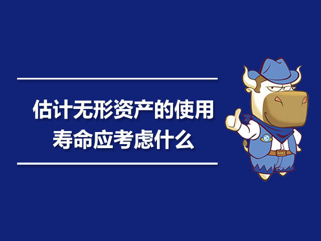 估计无形资产的使用寿命应考虑什么.jpg
