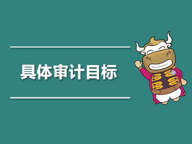 具体审计目标是什么.jpg