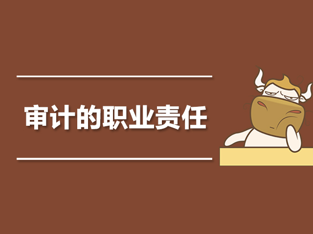审计的职业责任是什么.jpg