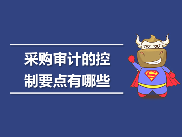 采购审计的控制要点有哪些.jpg