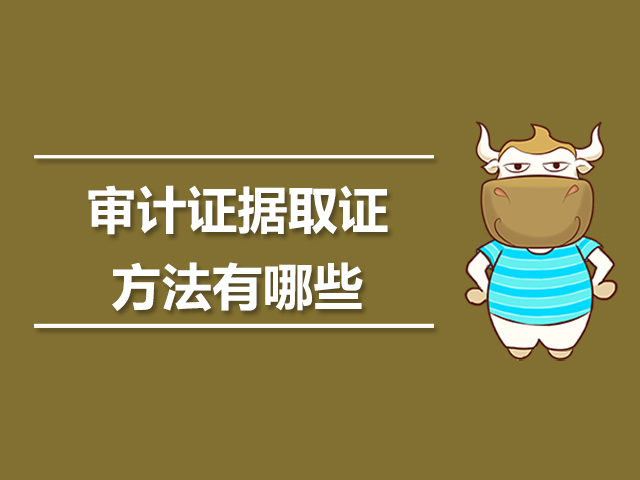 审计证据取证方法有哪些.jpg