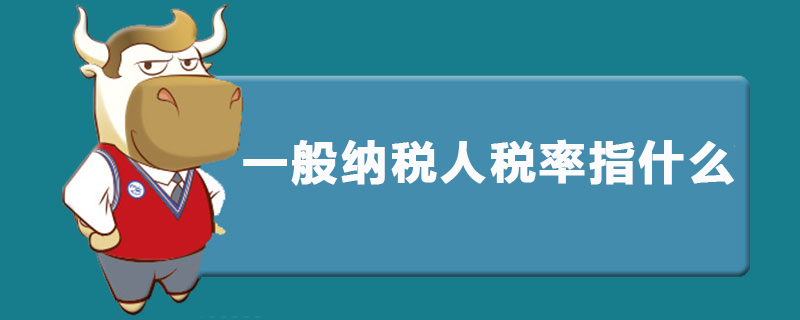 一般纳税人税率指什么.jpg