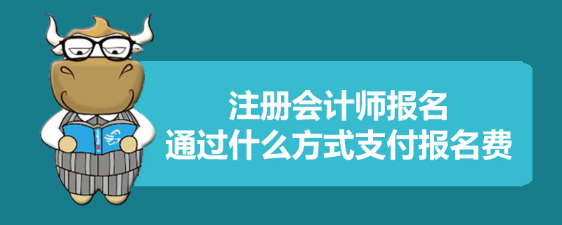 注册会计师报名通过什么方式支付报名费.jpg