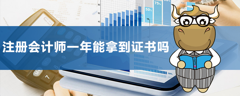 注册会计师一年能拿到证书吗.jpg