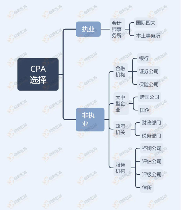 cpa执业和非执业就业方向.jpg