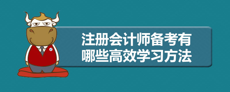 注册会计师备考有哪些高效学习方法.jpg