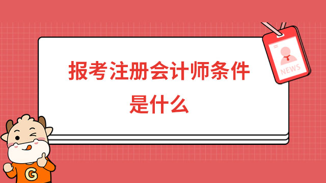 报考注册会计师条件是什么
